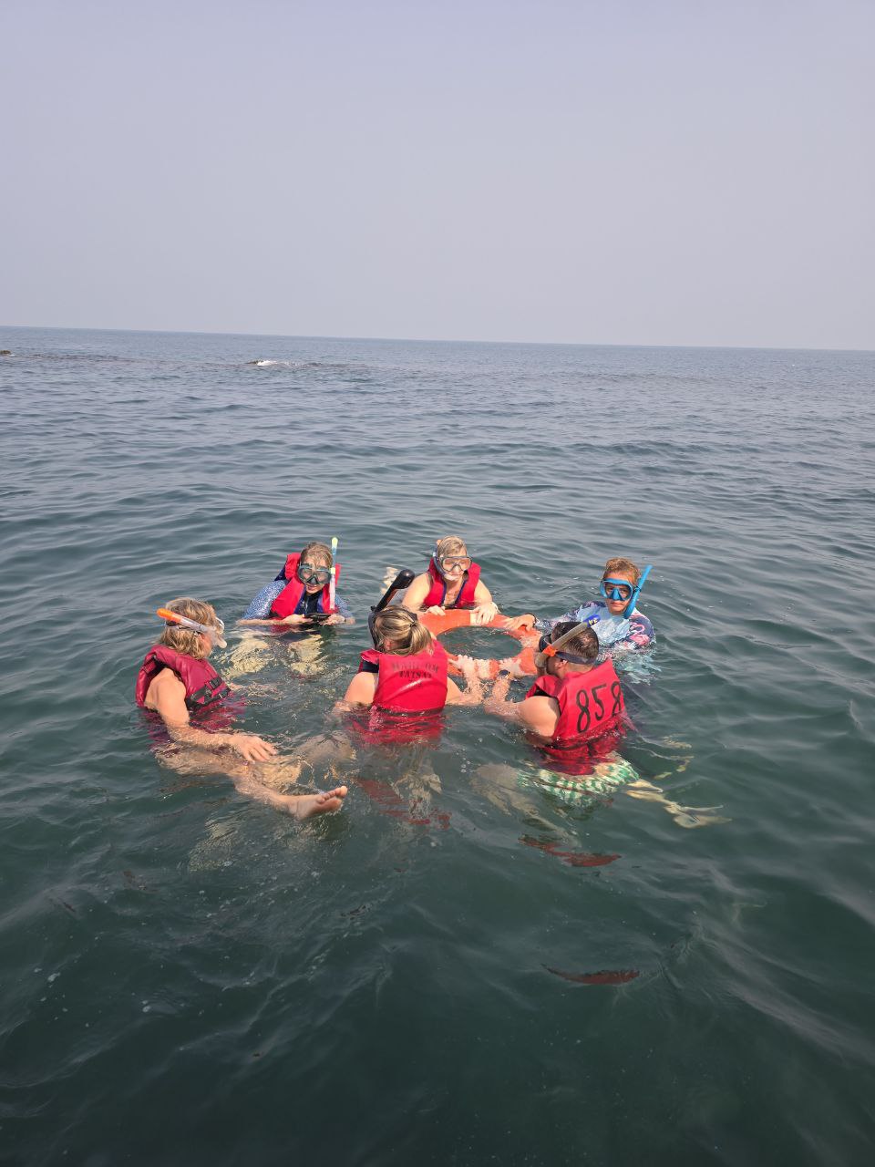 snorkeling in goa